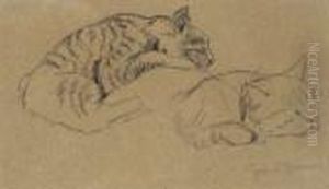 Studie Einer Schlafenden
 Katze. by Hans Thoma