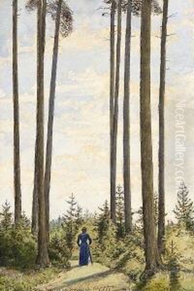 Spaziergangerin Im Villinger
 Wald. - view 1