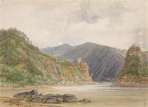 Die Ruine Werfenstein Mit Derinsel Worth - view 1