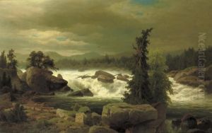 Forest Landscape With A Waterfall