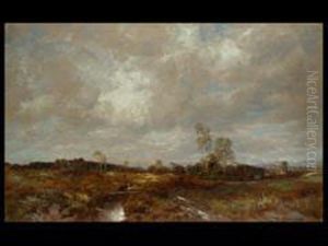 Voralpenmoorlandschaft by Desire Tomassin