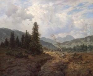 "oberbayrisches
 Hochmoor".