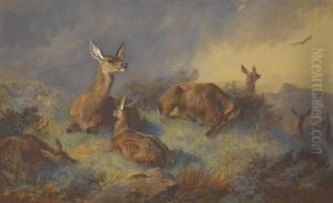 The Watchful Hinds