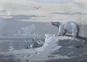 Polar Bear by Archibald Thorburn