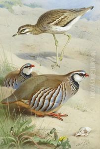 Stone Curlew And Red Legged Partridge by Archibald Thorburn