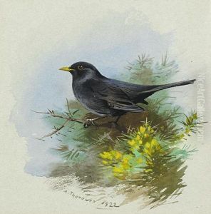 Male Blackbird by Archibald Thorburn