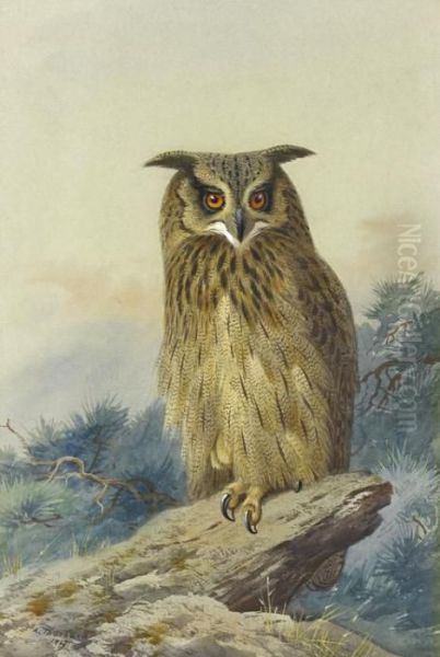Eagle Owl - view 1