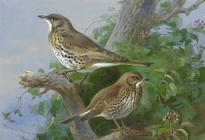 Mistle-thrush And Song-thrush by Archibald Thorburn