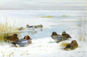Winter Landscape With Ducks