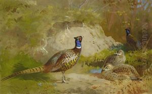Pheasants In A Landscape