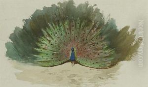 Study For by Archibald Thorburn