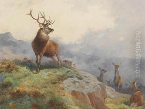 A Stag And Hinds In A Highland Landscape