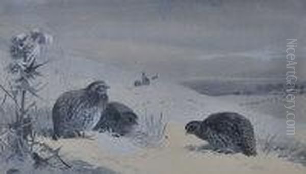 Partridge In The Snow - view 1
