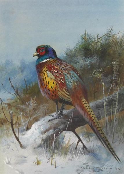 A Pheasant In A Winter Landscape - view 1