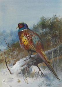 A Pheasant In A Winter Landscape