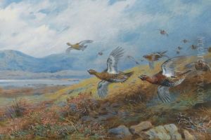 Driven Grouse by Archibald Thorburn
