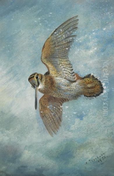 Caught In A Blizzard, Woodcock - view 1