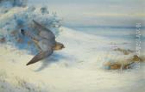 Merlin And Larks - view 1