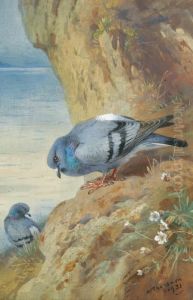 Rock Doves by Archibald Thorburn