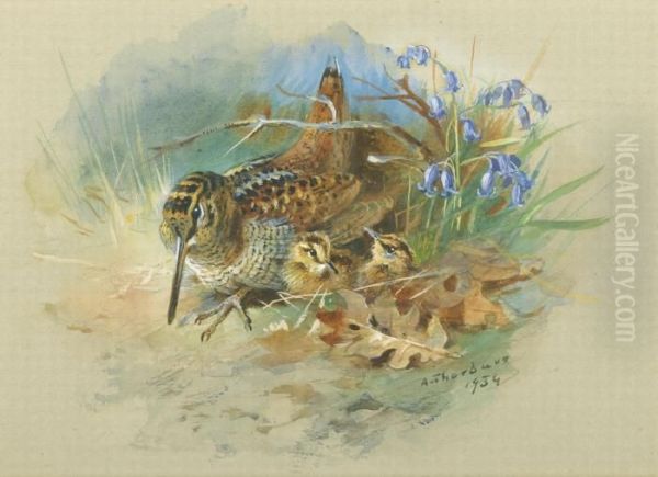 Woodcock And Young - view 1