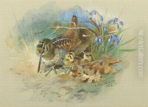 Woodcock And Young Woodcock And Young