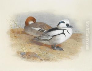 A Pair Of Smew Ducks by Archibald Thorburn