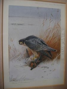 Bird And Prey