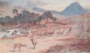 Red Deer In The Highlands by Archibald Thorburn