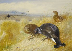 On The Stooks - Blackgame