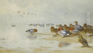 Wigeon And Teal By The Water's Edge