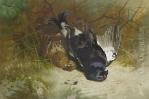 Still Life Of A Pair Of Blackgame by Archibald Thorburn