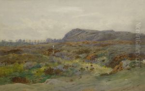 Moorland Landscape by Archibald Thorburn