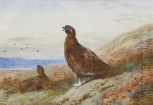 The Challenge by Archibald Thorburn