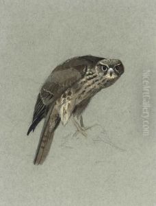 A Hen Merlin A Hen Merlin