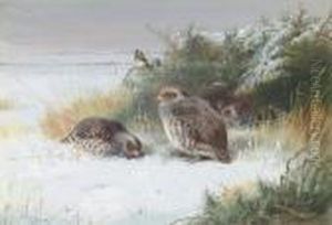 Grey Partridge And Goldfinches by Archibald Thorburn
