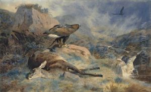 The Lost Hind