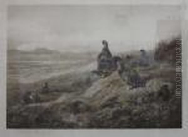 Among Theheather - view 1