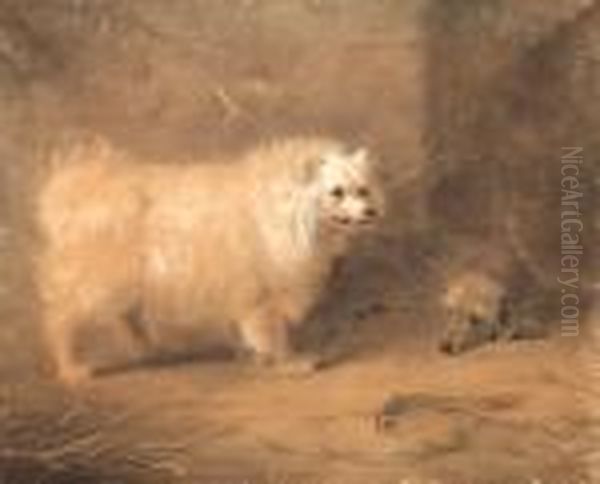 Study Of A Standing Chow - view 1