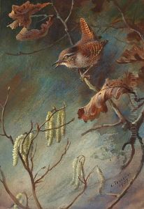 Study Of A Wren Perched Upon A Branch by Archibald Thorburn