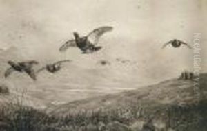 Courseshooting by Archibald Thorburn