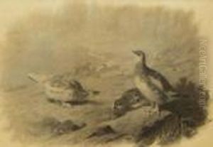 Ptarmigan by Archibald Thorburn