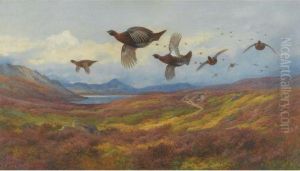 Swerving From The Guns-red Grouse by Archibald Thorburn