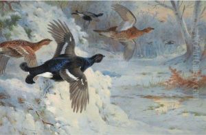 Through The Snowy Coverts-blackgame by Archibald Thorburn