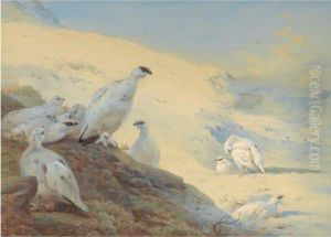 Sunset Glow-ptarmigan In Winter by Archibald Thorburn