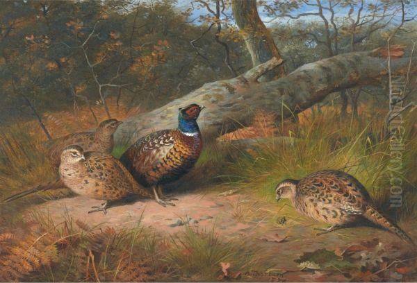 The Fallen Beech- A Cock And Three Hen Pheasants With A Wasp - view 1