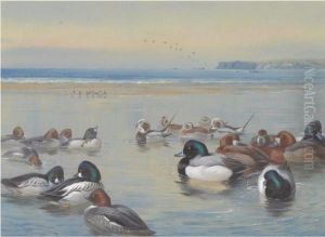 Ducks Along The Shoreline
