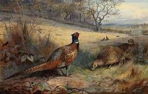 A Cock Pheasant With Two Hen
Pheasants In An Autumnal Landscape,other Pheasants Beyond, A Farm With
Sheep And Cattle In The Fardistance by Archibald Thorburn