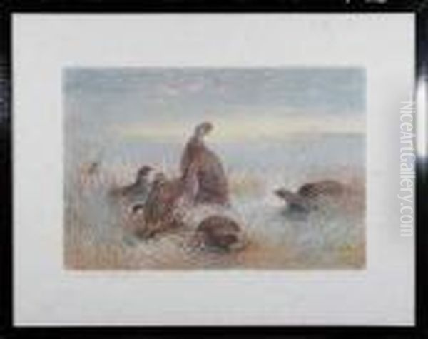 A Covey Of Partridges - view 1