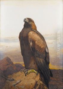 Golden Eagle by Archibald Thorburn