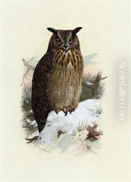 Eagle-owl - view 1